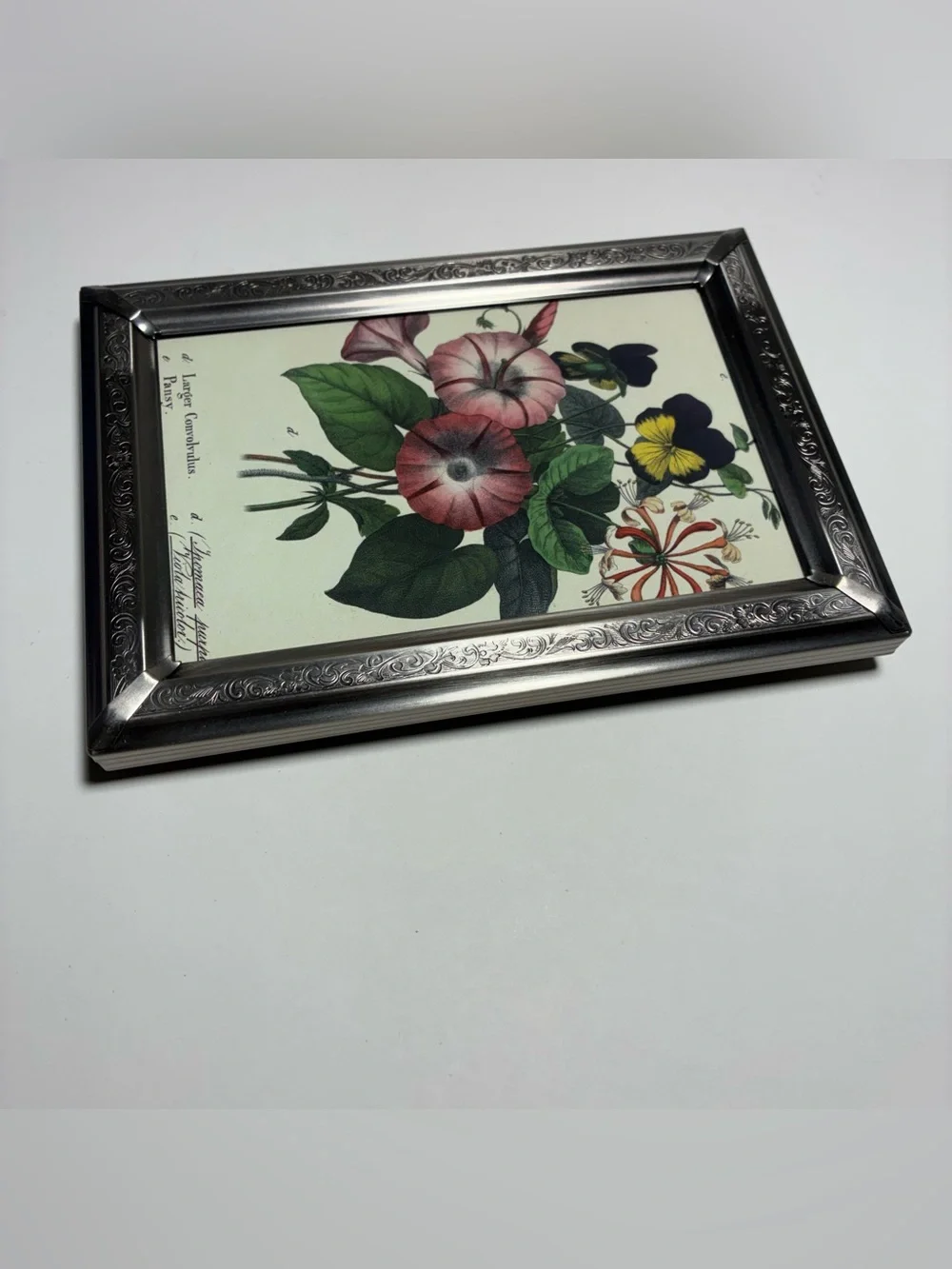 Vintage Silver Aluminum Etched Frame Botanical Floral Print Freestanding 7x5